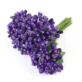 Lila künstliche Beeren Blütenstempel Detail, gefrostetes DIY Handwerk Blumen Zubehör. - Länge ca. 85mm 36 Stück/Packung / Beerenstaubblatt Dunkelviolett