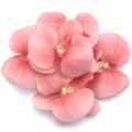 Close-up detail of artificial fabric pink phalaenopsis orchid flower heads for crafts and decor. - 5 Pieces/Pack (Approx 7.5x8cm) / Flesh Pink
