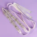 Exquisite bridal rhinestone sash wedding dress belt with sparkling crystal for parties - Photography Travel Style (WS-J224S)