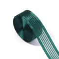 Détail de ruban transparent rayé vert foncé, idéal pour accessoires et emballage cadeaux. - Largeur 2.5cm 10 Yards/Rouleau / Vert Foncé