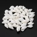 Dettagli ciondoli conchiglia bianca, piccole perline a spirale per creazione gioielli fai da te. - Conchiglia a Lumaca Bianca Perforata Dritta / 7-13mm (40g/Circa 65 Pz)