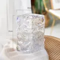 Nordic glacier glass vase transparent water culture flower arrangement modern home decor - Short Style / Rainbow