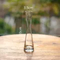 Vaso per fiori in vetro trasparente collo stretto decorazione da tavolo idroponica 20cm - Vaso piccolo a bocca rotonda - Medio