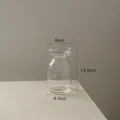 Transparent glass mini vase, clear floral arrangement container, minimalist tabletop ornament. - Clear