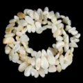 Perline irregolari di conchiglia bianca, perle forate per accessori di gioielli fai da te. - 8-12mm / Conchiglie e ghiaia