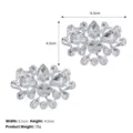 DIY crystal rhinestone shoe buckle bridal high heel shoe clips decorative accessories - Large Waterdrop Style (SC-J052) / 2-Piece Set / Silver