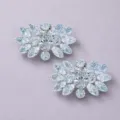 Elegante kristallen schoenclips sprankelende strass schoengespen voor huwelijksfeest. - Kleine & Prachtige Stijl (SC-J079) / 2-Delige Set