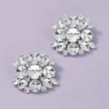 Schitterende strass schoenclips, elegante accessoires voor feesten en mooie bruiloften. - Niche Verfijnde Schoenclips (SC-J077) / 2-Delige Set