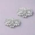 Kristalen schoenclips voor vrouwen, sprankelende strass schoenversiering, elegante bruiloft decor. - Luxe Strass (SC-J054) / 2-Delige Set