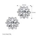 Rhinestone shoe clip detail view, sparkling crystal floral accessory, 5cm width size. - 2-Piece Set / Silver (SC-J076)