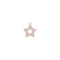Roségoud vergulde ster hanger bedel met zirkonia stenen voor DIY sieraden maken ketting - Sterstijl (5#)