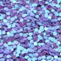 Primo piano di paillettes rotonde olografiche blu viola per nail art e dettagli artigianali - 30g/Confezione / Viola Galvanico