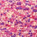 3mm holeless PVC star sequins, colorful plated glitter for nail art and clothing decor variant. - 30g/Bag / Golden Luster Pink
