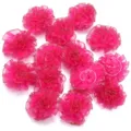 Felroze organza ruffle bloemen met gouden rand voor DIY haarspelden, tassen en kleding. - Rozerode anjers met gouden rand