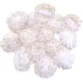Witte organza bloemen met gouden rand voor handgemaakte DIY kleding en accessoires - Witte anjers met gouden rand