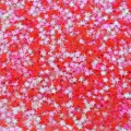 Colorful iridescent 3.0mm no-hole PVC star sequins for nail art and garment decor - 30g/Bag / AB Iridescent Rose Red