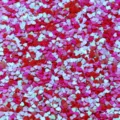 Paillettes coeur PVC sans trou 3mm confettis scintillants pour art d'ongle et vêtement - Pack de 30g / Rouge Iridescent