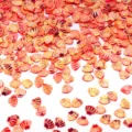 Paillettes a conchiglia rosso oro lucido per nail art e accessori fai da te, 30g per confezione. - 30g/Confezione (8mmx6mm) / Rosso brillante oro
