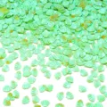 Paillettes conchiglia verdi per nail art e fai da te, PVC senza foro, confezione da 30g. - 30g/Confezione (8mmx6mm) / Verde Iridescente