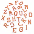Bunte Buchstaben aufaeugeln Stickerei Flicken Applikationen fuer Kleidung DIY Naehen. - 26er Set / Orange