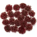 Bordeau goudrand organza anjer bloemen DIY knutselaccessoires voor kleding tassen decoratie. - Bordeauxrode anjers met gouden rand