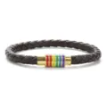 Geflochtenes PU-Lederarmband mit Regenbogen Magnetverschluss, stilvoller Modeschmuck für den Alltag. - Dunkelbraun mit goldener Schnalle