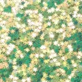 Holeless PVC snowflake sequins for nail art and craft DIY. Glossy glitter material pack. - 30g/Pack / Shiny Golden Green Snowflakes