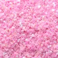 Close-up detail shot of pink holeless PVC star sequins for nail art and DIY craft accessories. - 30g/Pack / AB Pink Four-Pointed Stars