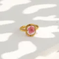 Detailopname van vergulde roestvrijstalen ring met transparant roze gedroogd bloemdetail. - Stijl 283