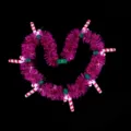 Collana festone luminoso di Natale con luci bastoncino di zucchero, gioielli festa novità. - Rosa Rosso Festone Luci Lampadina Collana