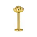 Gouden roos labret knop piercing sieraad van roestvrij staal titanium, gouden variant. - 1.2x8mm / Goud