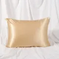 Gold Faux Silk Pillowcase Solid Color Zipper Pillow Cover Standard Size Luxury Soft - Gold