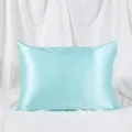 Light blue satin pillowcase with zipper, solid color smooth silk pillow cover for hair and skin - Fresh Green