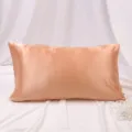 Housse de coussin en satin de soie unie taille standard literie respirante pour chambre. - 51x66cm (US Standard) / Champagne