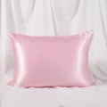 Pink satin pillowcase, smooth zipper silk pillow case, solid color bed pillow cover. - 51*66cm Satin / Pink No. 4
