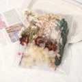 Μπουκέτο αποξηραμένα λουλούδια DIY υλικό διακόσμηση χειροτεχνίας μικτά χρώματα - Μπεζ Σειρά / Μία Τσάντα