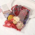 Trockenblumen DIY konservierte Blumen Materialpaket bunt handgemachte Deko Zubehör - Rot Serie / Eine Tasche