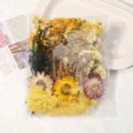 Trockenblumen Set zum Basteln DIY konservierte Blumen für Handwerk und Dekoration - Gelbe Serie / Eine Tasche