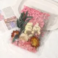 Trockenblumen Strauch DIY konservierte Blumen Materialpaket bunte mix Floralien. - Festes Rosagelb / Eine Tasche