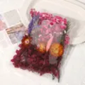 Trockenblumen DIY unsterbliche Blumen Materialpaket bunte gemischte heilende Blumenaccessoires - Festes Rosarot / Eine Tasche
