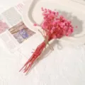 Rosa Getrocknete Schleierkraut Blumen Strauß Konserviert DIY Heim Dekor Zubehör Set - Hellrosa Schleierkraut / Eine Tasche