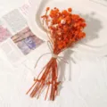 Orangefarbenes Trockenblumenstrauß DIY konservierte Blumen Materialset für Heimdeko. - Orangefarbenes Schleierkraut / Eine Tasche