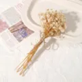 Trockenblumen Strauß DIY konservierte Blumen handgefertigt Heimtextilien ästhetisch Deko - Weißes Schleierkraut / Eine Tasche