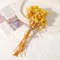 Natürlicher getrockneter gelb-weißer Schleierkrautstrauß für DIY-Basteln und Heimdeko. - Gelbes Schleierkraut / Eine Tasche