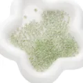 Transparent light green glass seed beads for DIY handmade jewelry, bracelets, and necklaces. - 2x4mm / UV Grass Green