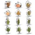 Lot de 12 emporte-pieces de Thanksgiving en acier inoxydable pour la patisserie DIY - Série de Thanksgiving (boîte couleur)