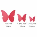 Detail view showing 48pcs set of 3d butterfly wall stickers with size dimensions and counts. - Pearlescent Paper Butterflies Style D: 48 Pcs / Rose Red