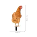 Acrylic chicken yard art garden stake outdoor lawn decor, 30cm height, durable acrylic material. - 3mm Transparent Acrylic + Double-Sided Printing / TYU218 Style A