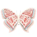 3D Pearl Paper Hollow Butterfly Wall Sticker DIY Wedding Party Home Decor Pink Blue Large - HB034: Type D