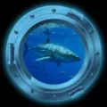 Luminous porthole wall sticker featuring a realistic deep sea shark and ocean view decoration. - KYYG005 - Blue Glow